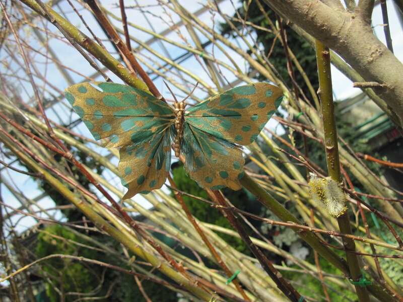 Artificial Butterfly on Branches — Green