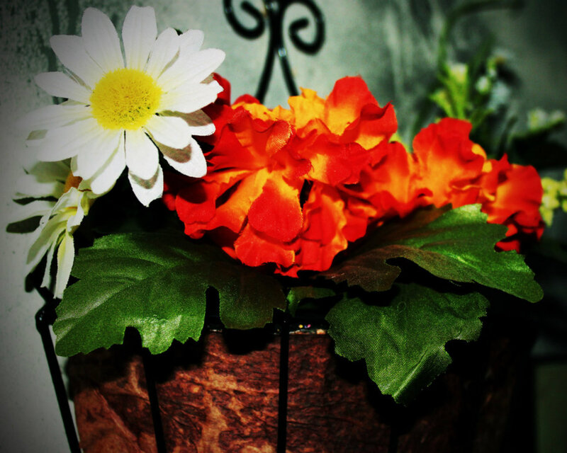 Artificial Flower Arrangement — White, Calm, Photograph