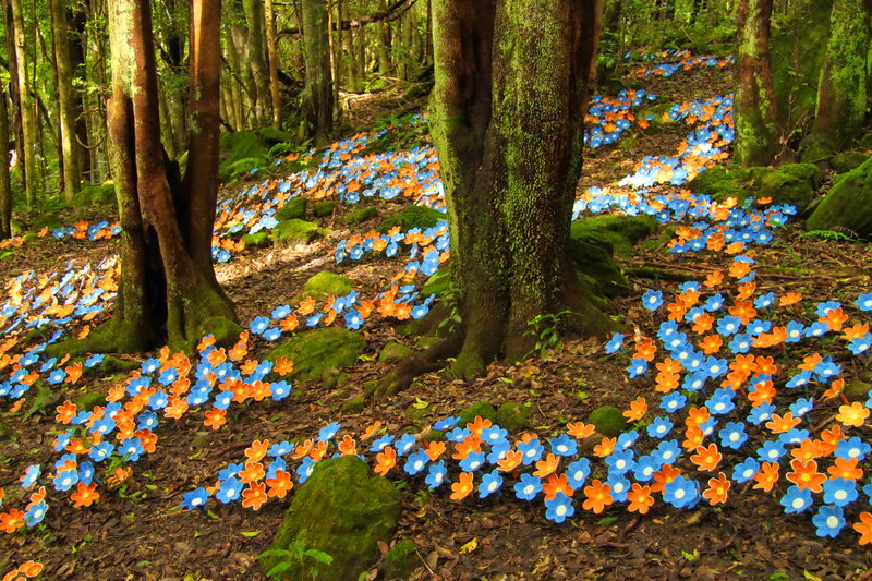 Artificial Flowers in Forest