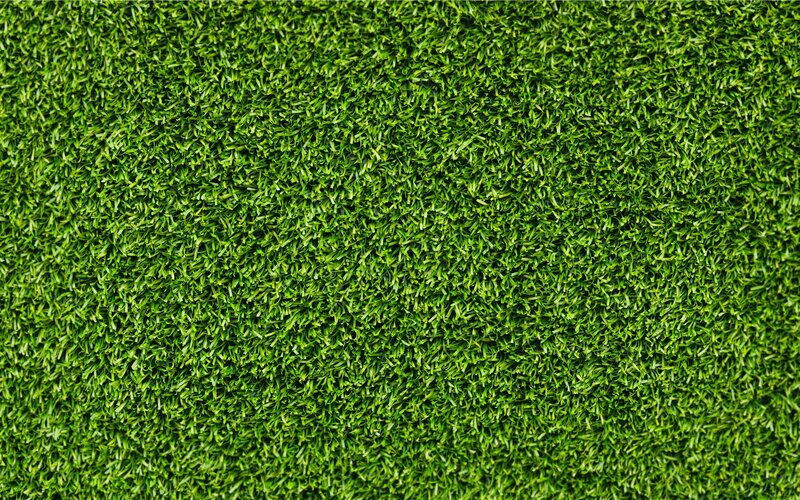 Artificial Grass Surface