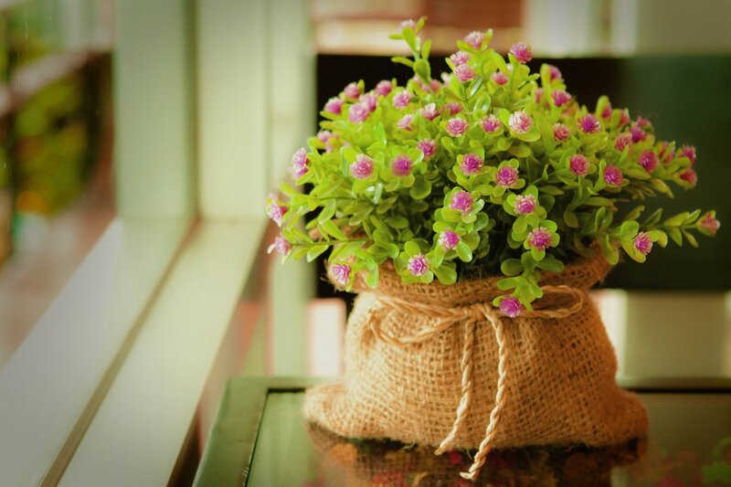 Artificial Plant in Burlap