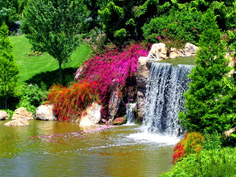 Artificial Waterfall in Garden — Green, Serene, Afternoon, Photograph, Flowers