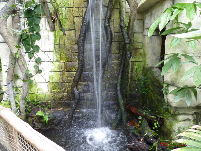 Artificial Waterfall in Garden — Green