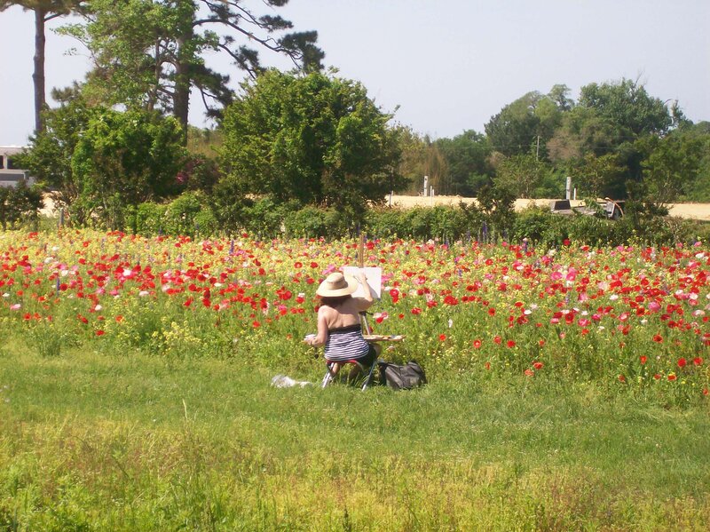 Artist Painting in Field