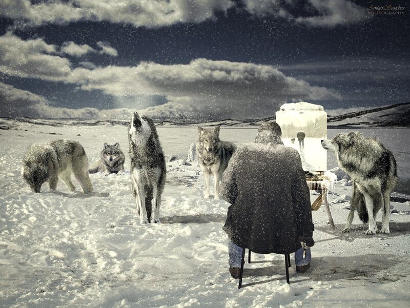 Artist painting wolves in snow