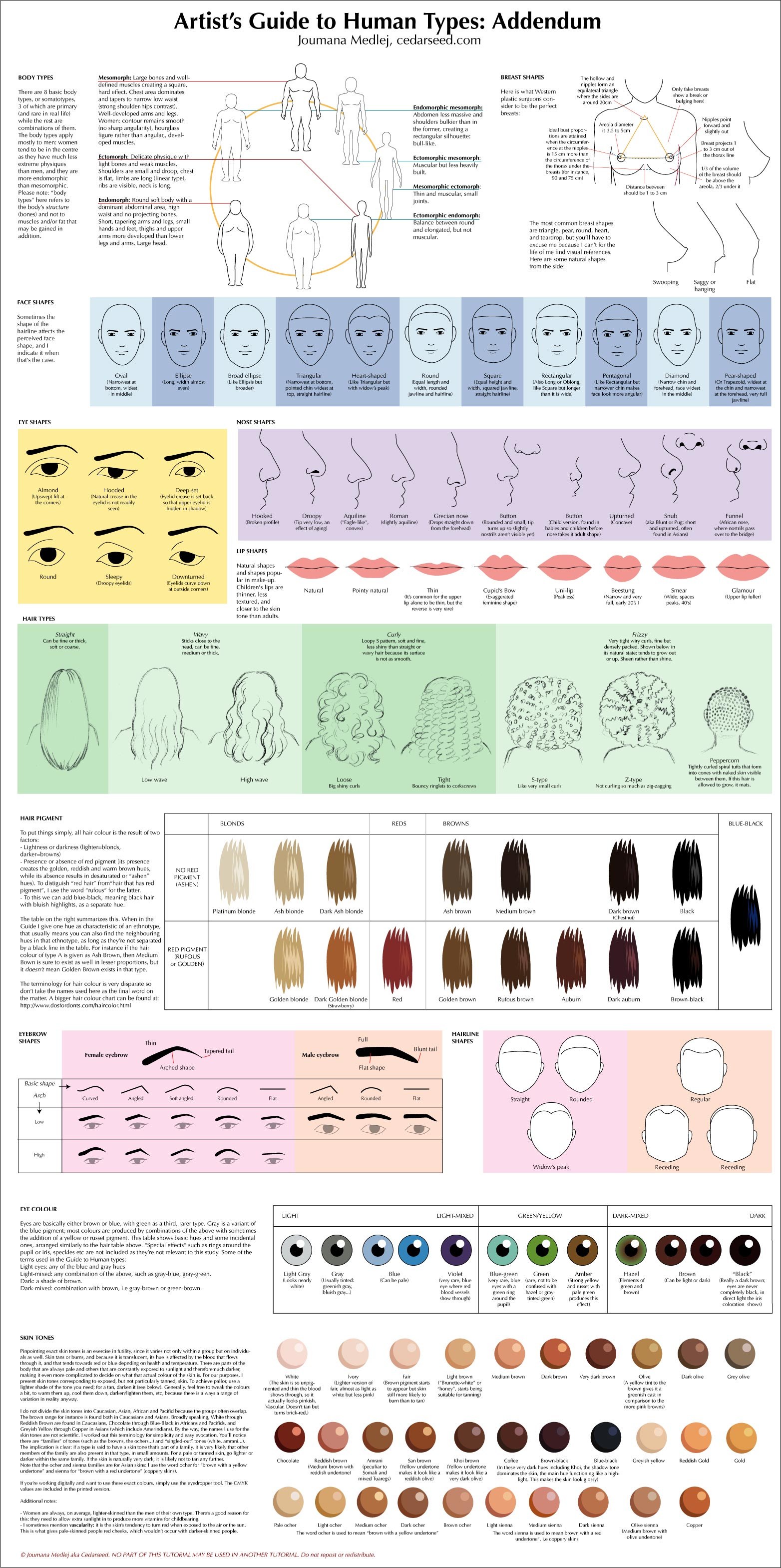 Artist's Guide to Human Types