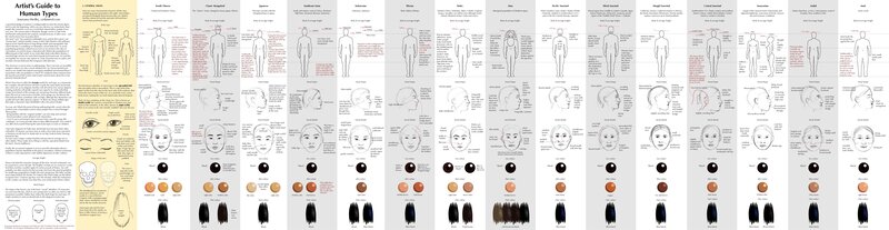 Artist's Guide to Human Types