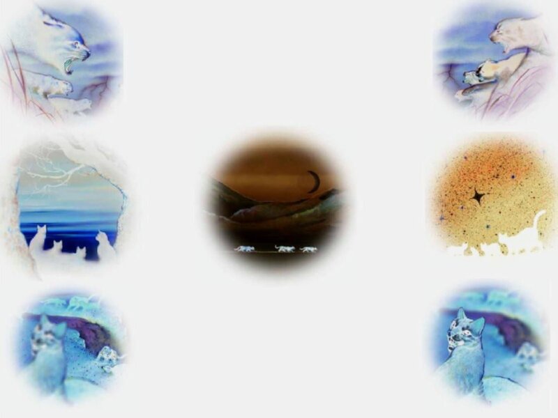 Artistic cat illustrations