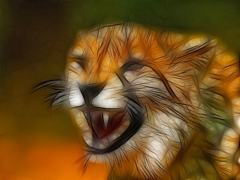 artistic cat portrait