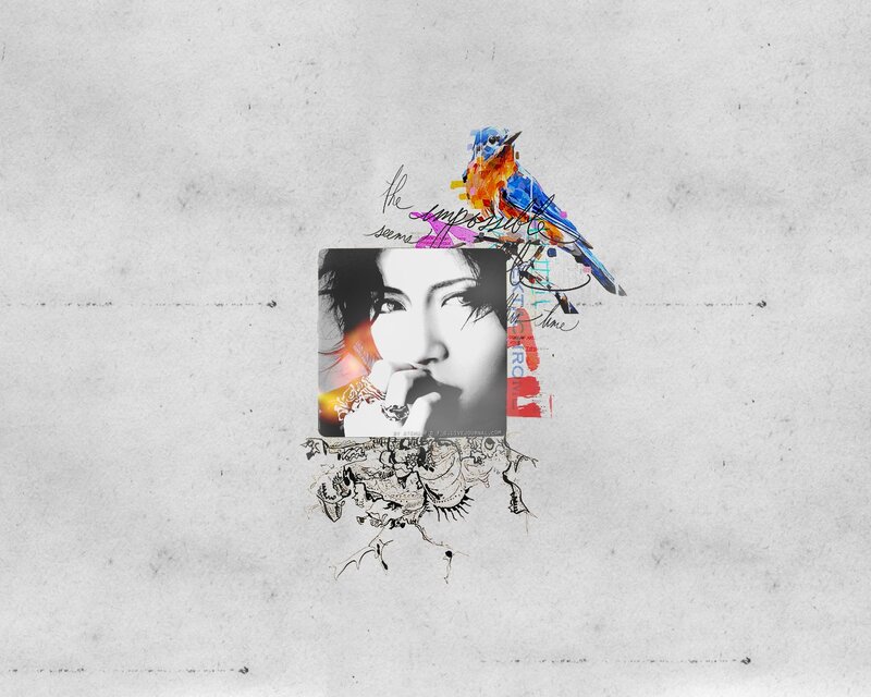 artistic collage with bird and portrait