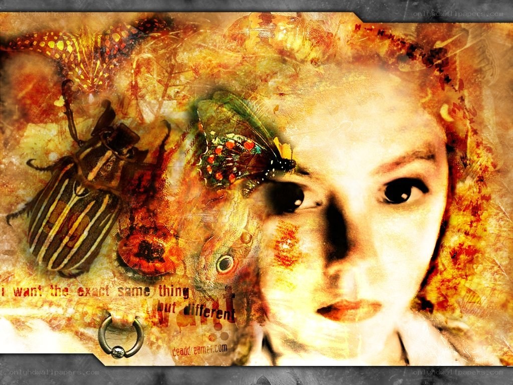 artistic collage with insects and face
