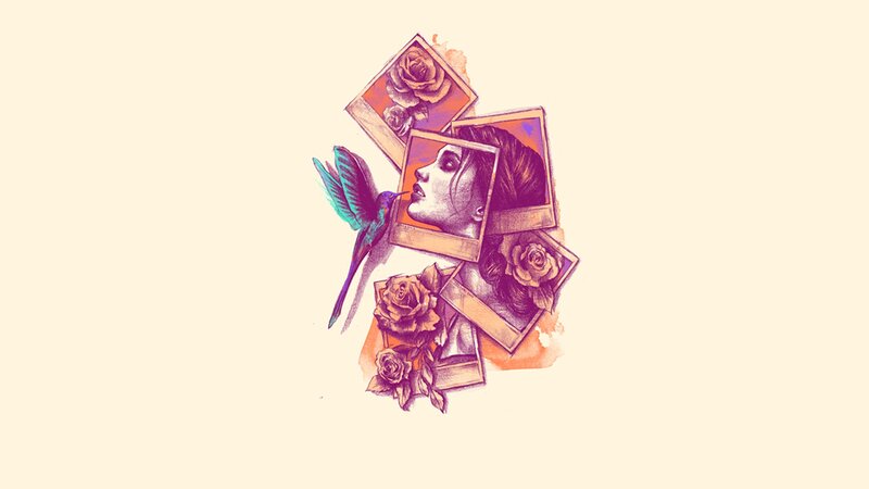 artistic collage with photos and hummingbird