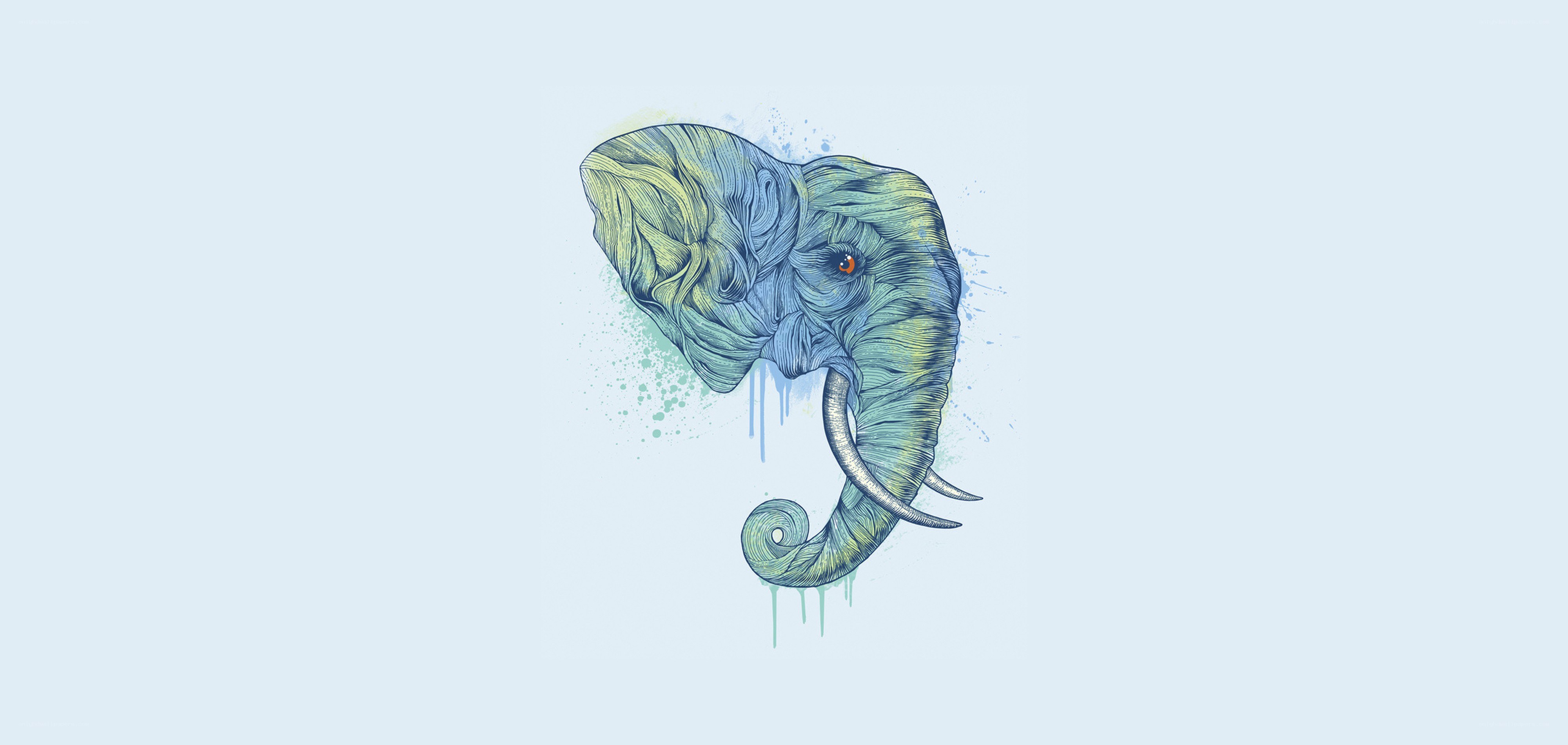 artistic elephant illustration