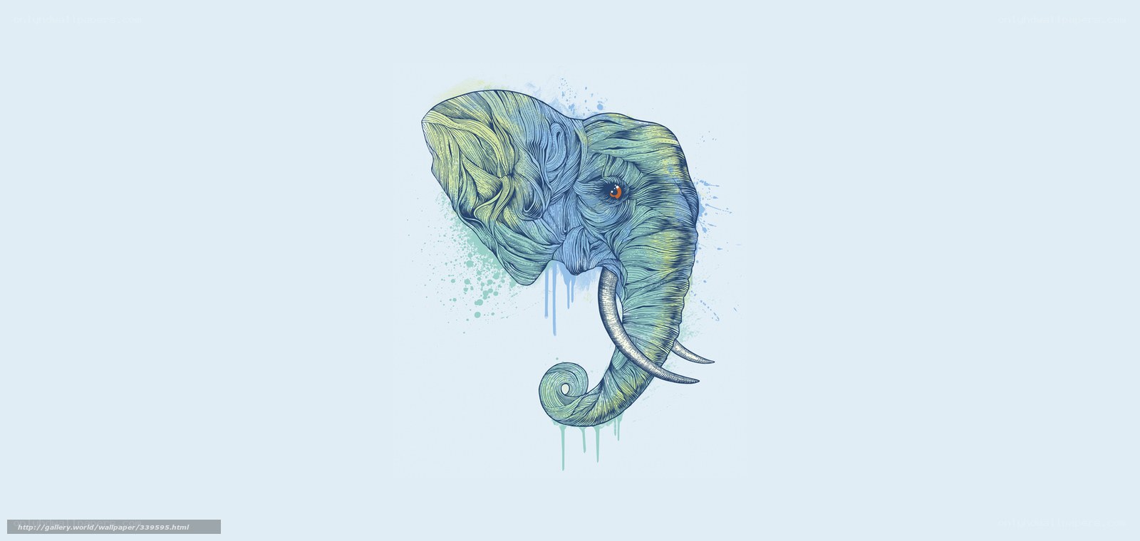 artistic elephant illustration