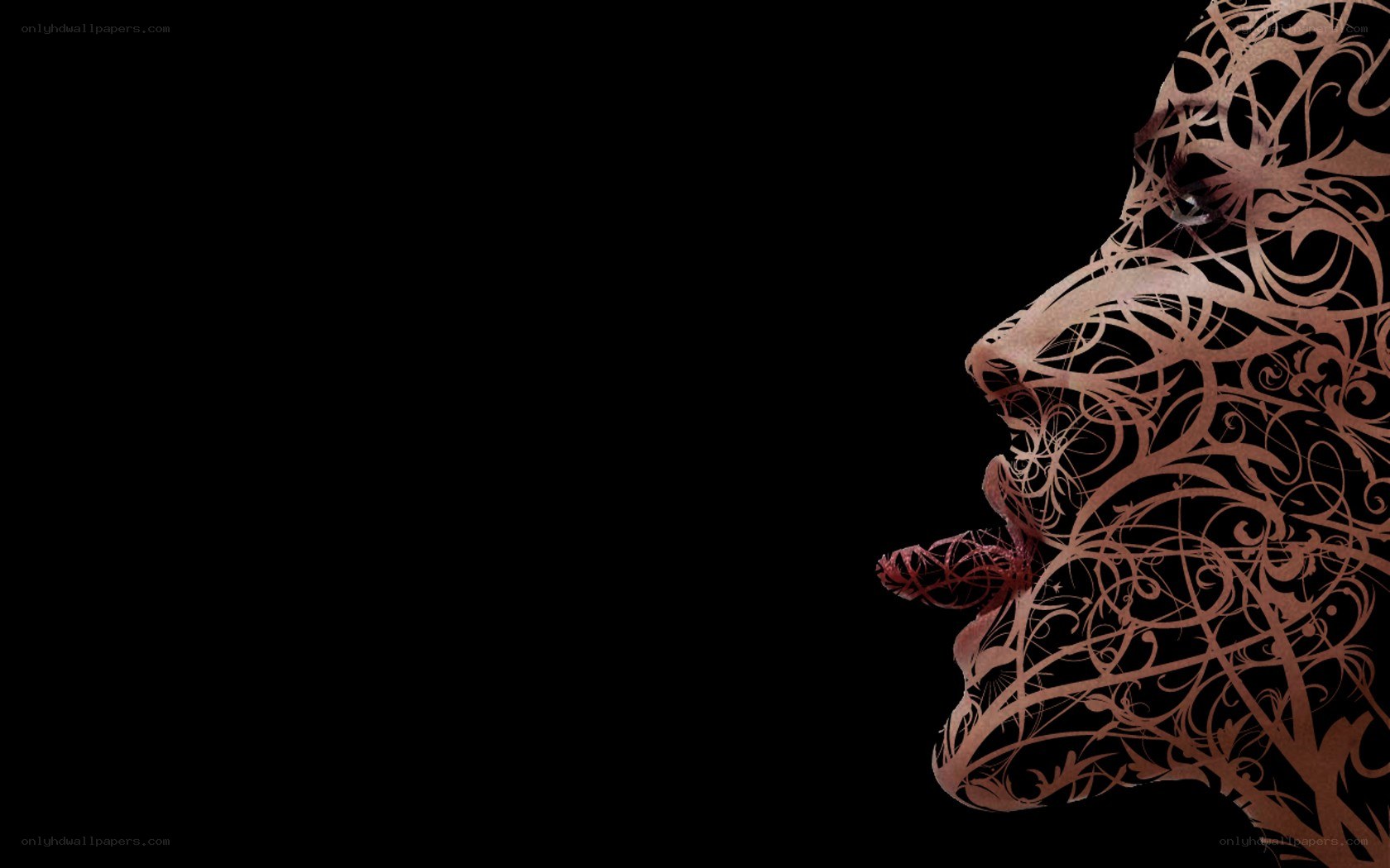 artistic face silhouette