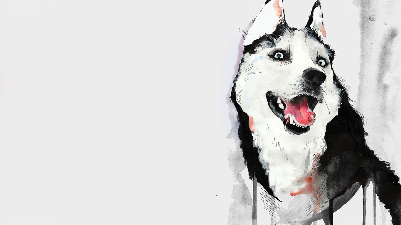 artistic husky dog portrait