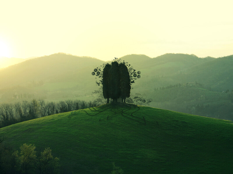 Artistic tree on a hill