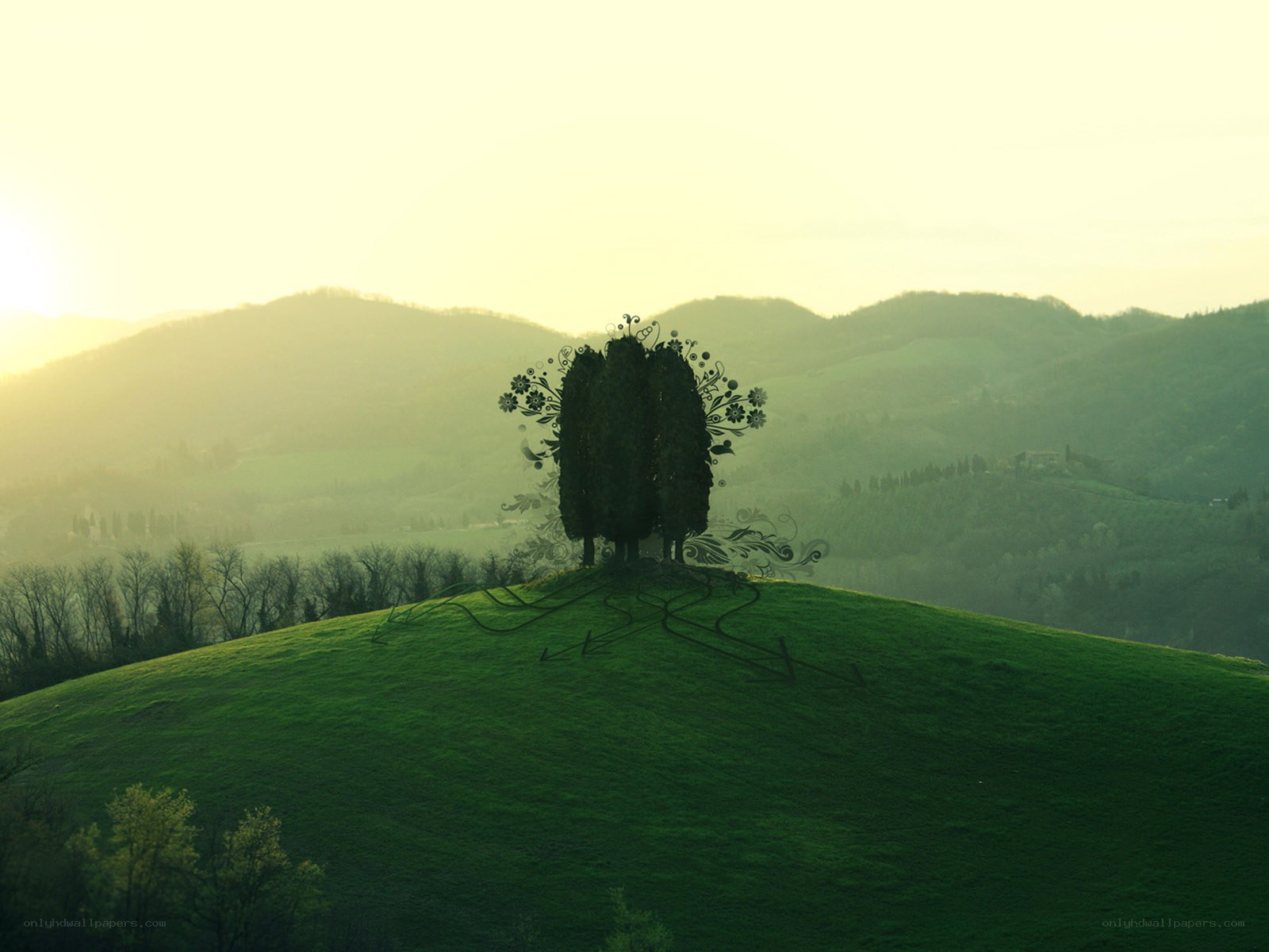 Artistic tree on a hill