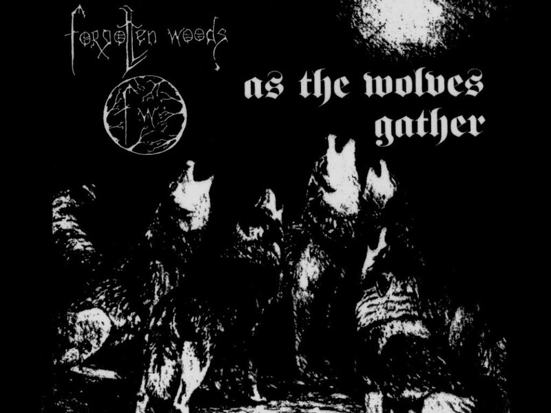 as the wolves gather