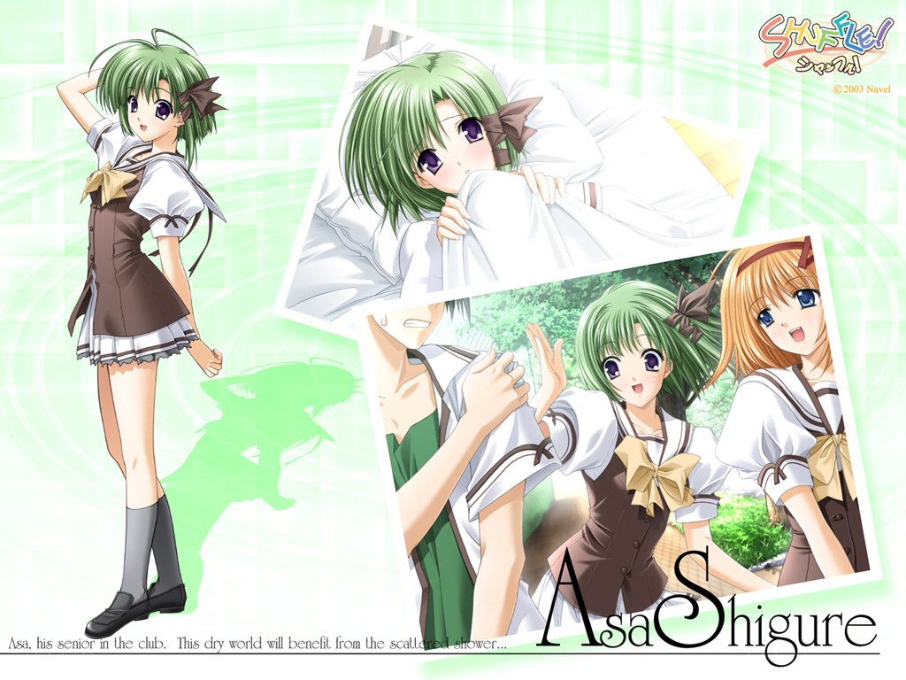 Asa Shigure character art