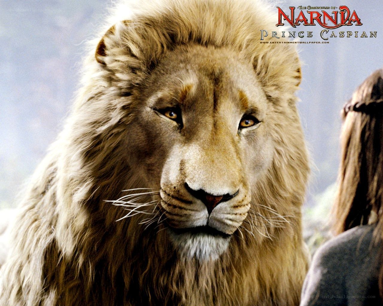 Aslan from Prince Caspian