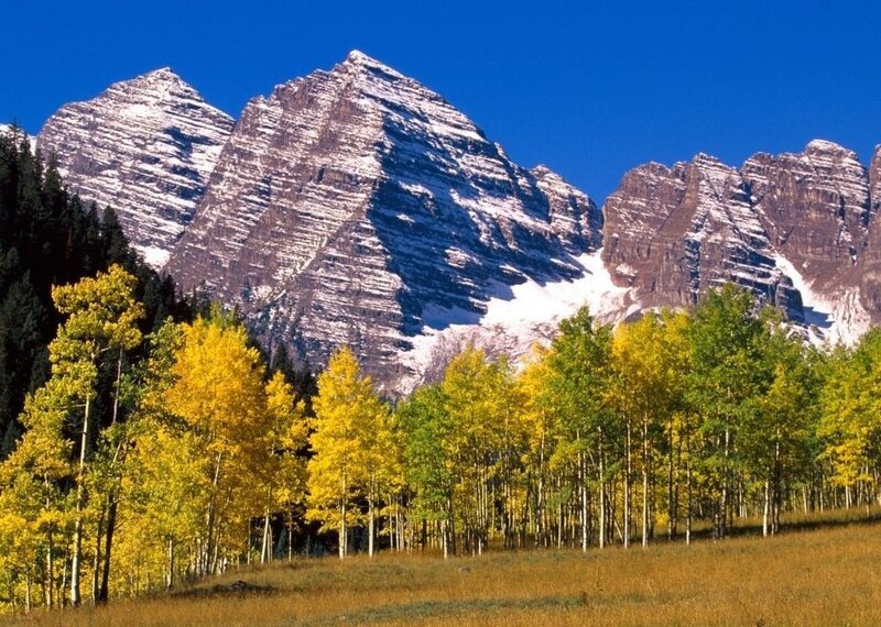Aspen Trees in Front of Mountains