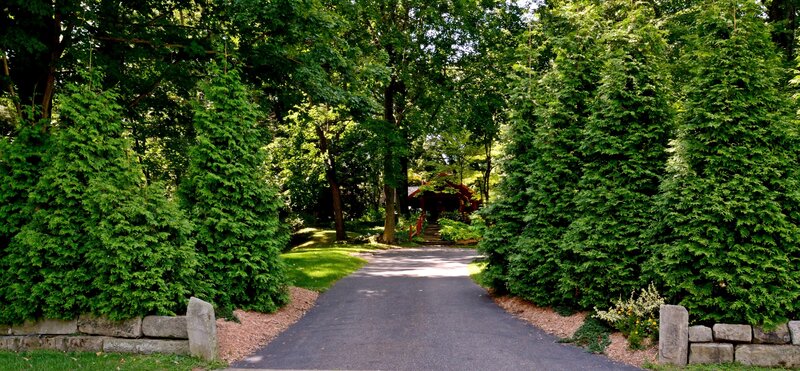 Asphalt Driveway with Trees