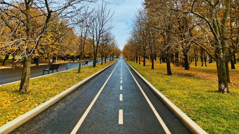 Asphalt Path in Park