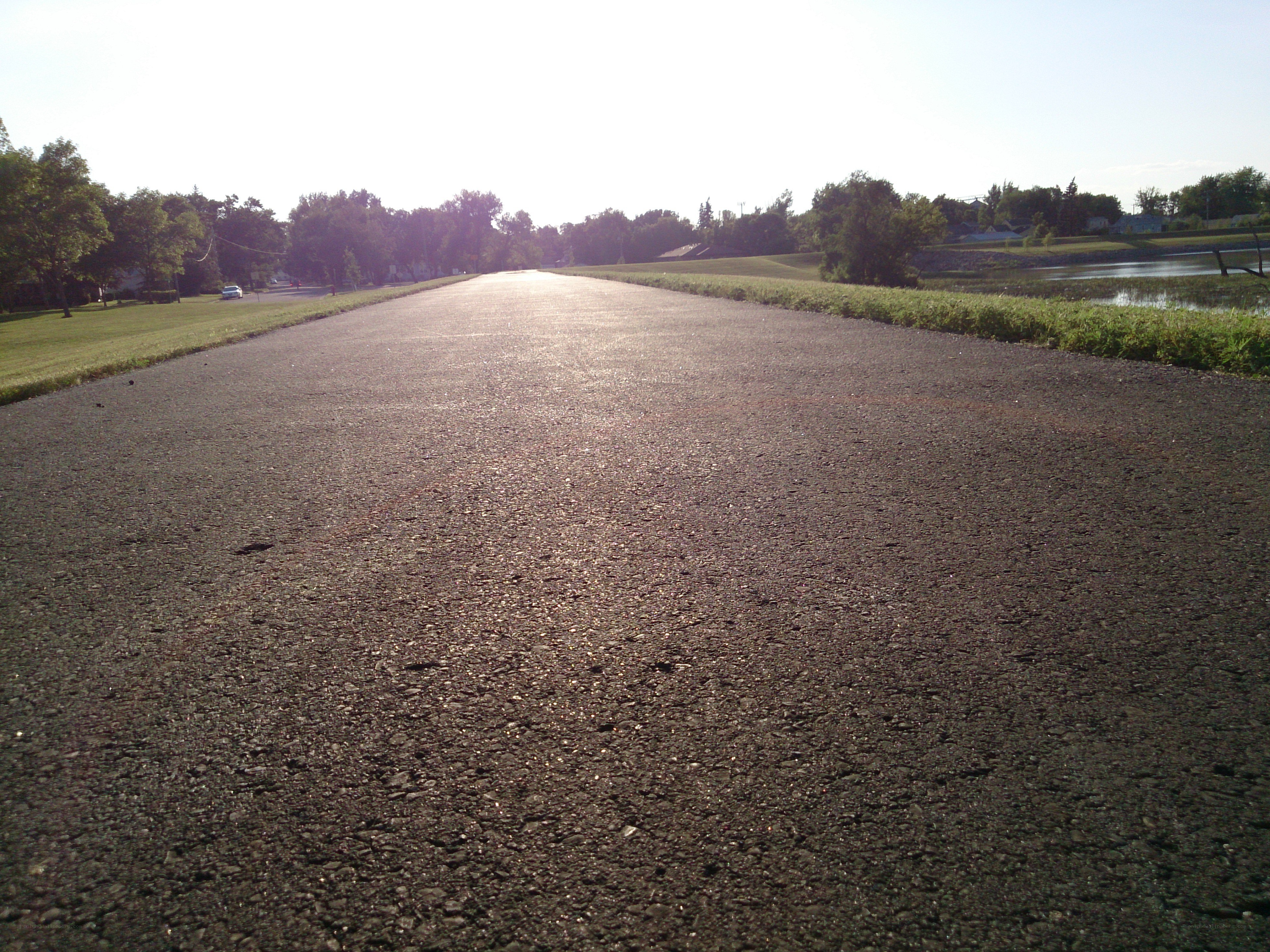 asphalt path near a pond