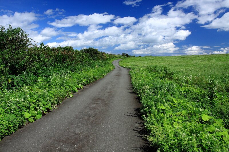 Asphalt Path Through Fields