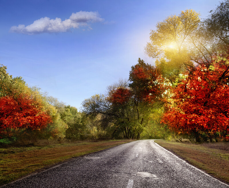 Asphalt Road in Autumn — Blue