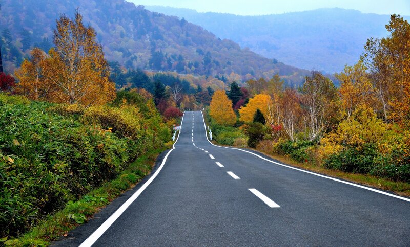 Asphalt Road in Autumn — Green