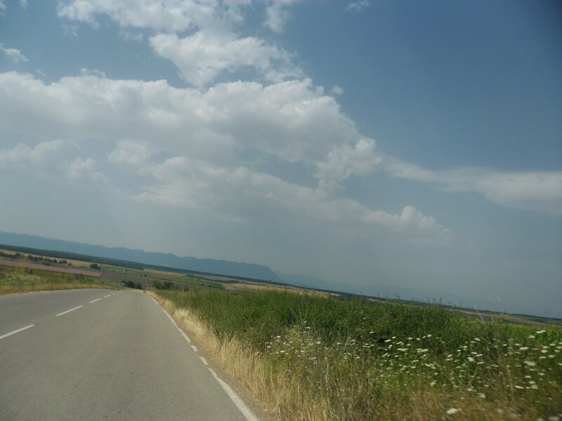 Asphalt Road in Countryside