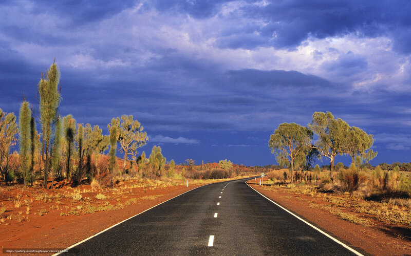 Asphalt Road in Desert — Blue, Dramatic, Afternoon, Photograph, Trees
