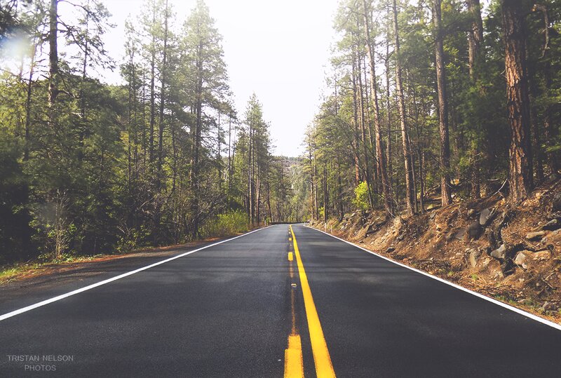Asphalt Road in Forest — Black, Serene, Afternoon