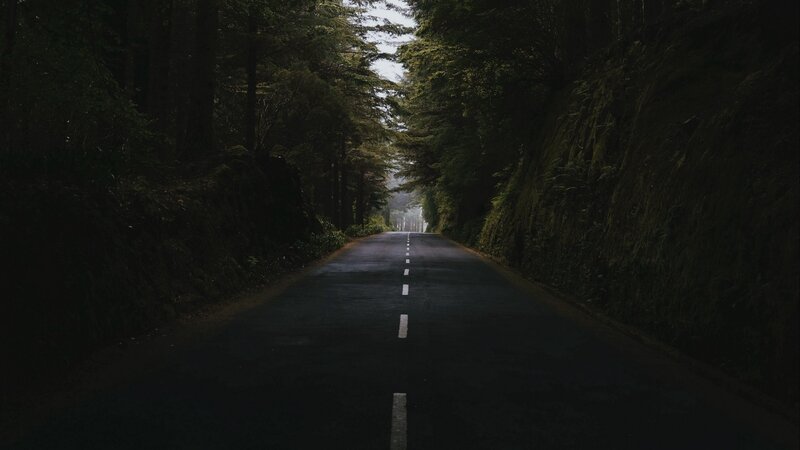 Asphalt Road in Forest — Black, Serene, Morning, Photograph, Trees