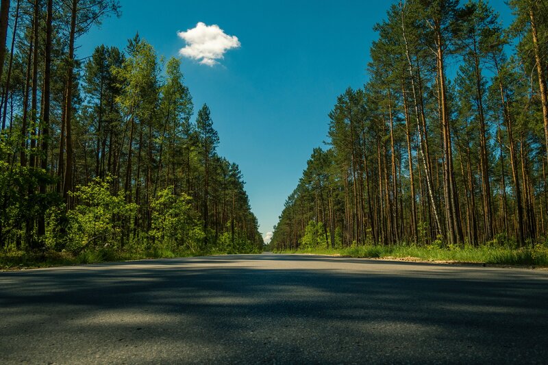 Asphalt Road in Forest — Blue, Serene, Afternoon