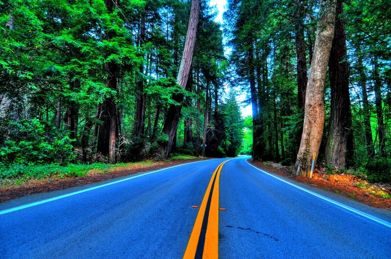 Asphalt Road in Forest — Blue