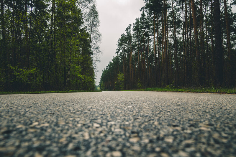 Asphalt Road in Forest — Gray, Serene, Spring