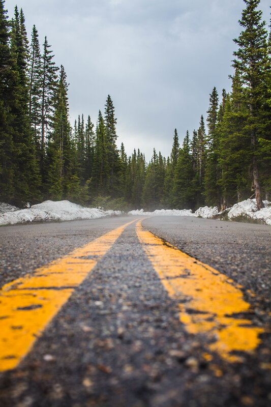 Asphalt Road in Forest — Gray, Serene, Winter