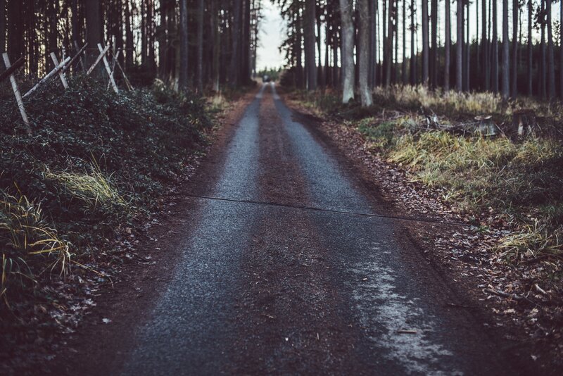Asphalt Road in Forest — Gray, Somber
