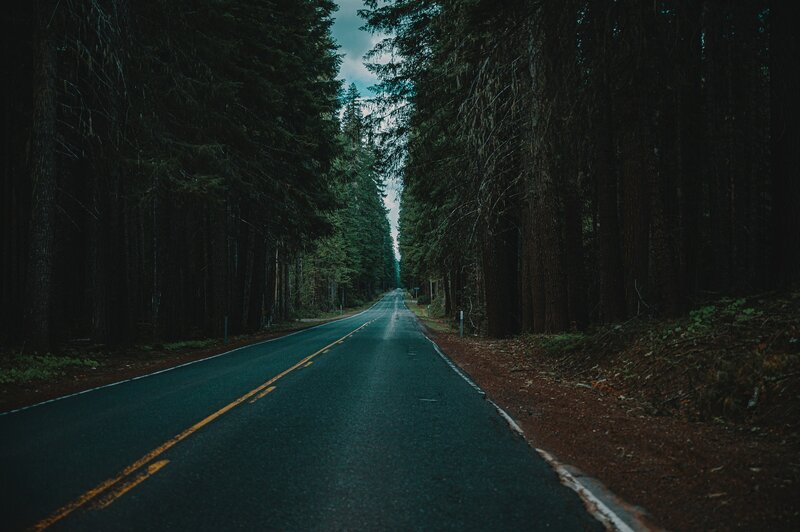 Asphalt Road in Forest — Green, Dark, Night