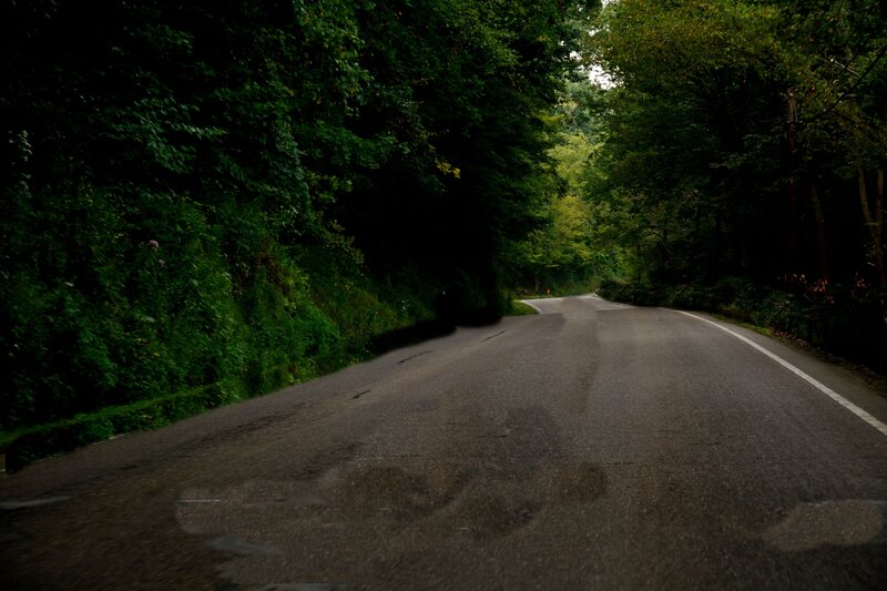 Asphalt Road in Forest — Green, Dark, Photograph