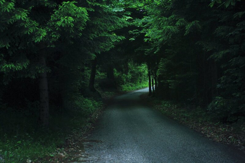 Asphalt Road in Forest — Green, Dark
