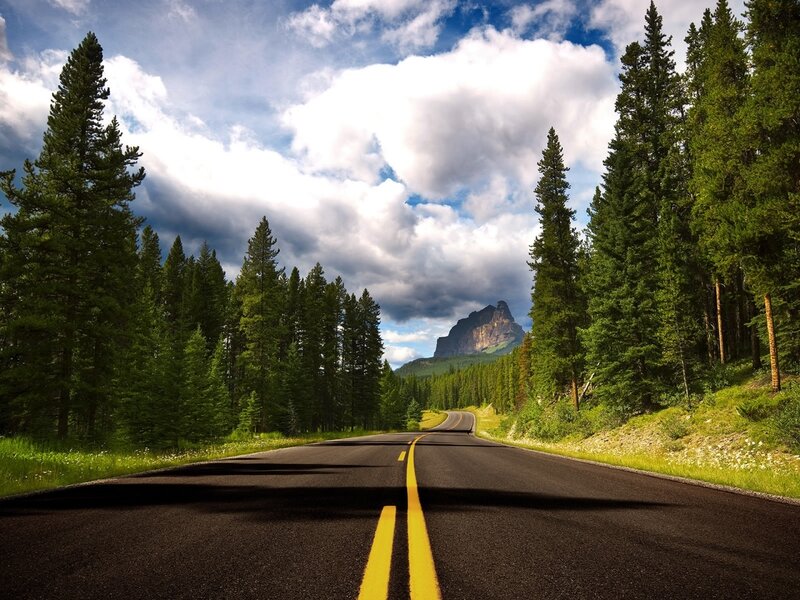 Asphalt Road in Forest — Green, Dramatic
