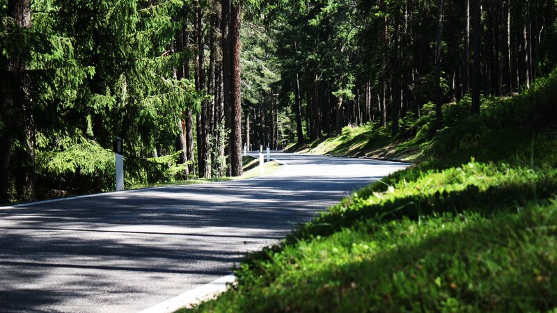 Asphalt Road in Forest — Green, Serene, Afternoon, Photograph, Trees, Grass, Gray