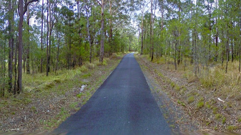 Asphalt Road in Forest — Green, Serene, Afternoon, Photograph, Trees, Grass