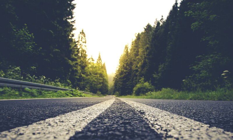 Asphalt Road in Forest — Green, Serene, Afternoon, Photograph, Trees, Guardrail