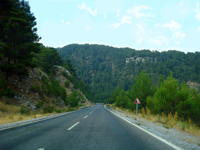 Asphalt Road in Forest — Green, Serene, Afternoon, Photograph, Trees, Mountain