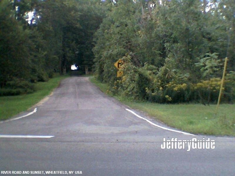 Asphalt Road in Forest — Green, Serene, Sunset